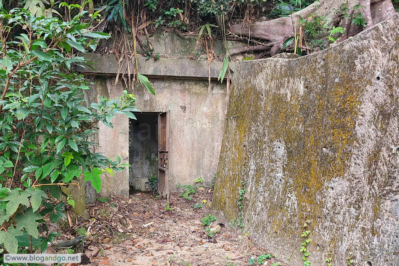 War Time Trail - WNC Gap Station 9 - West Brigade HQ Open Bunker
